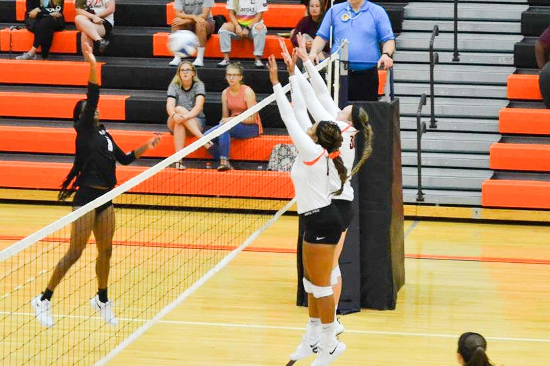 WVWC Volleyball