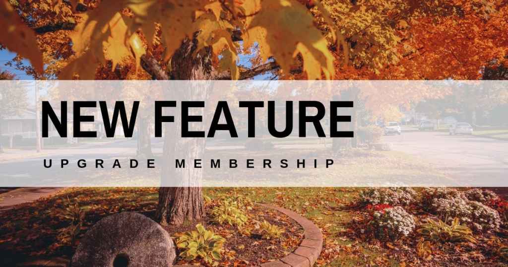 Blog - New Feature