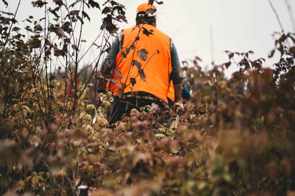 Hunting