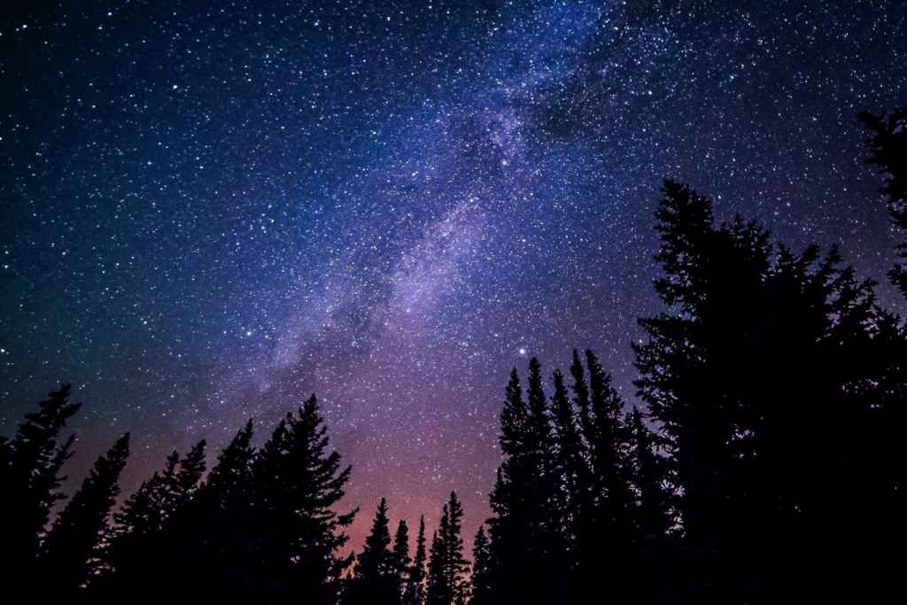 Stars