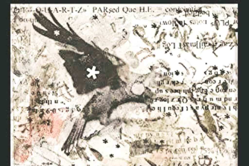 Technical Notes for Bird Government