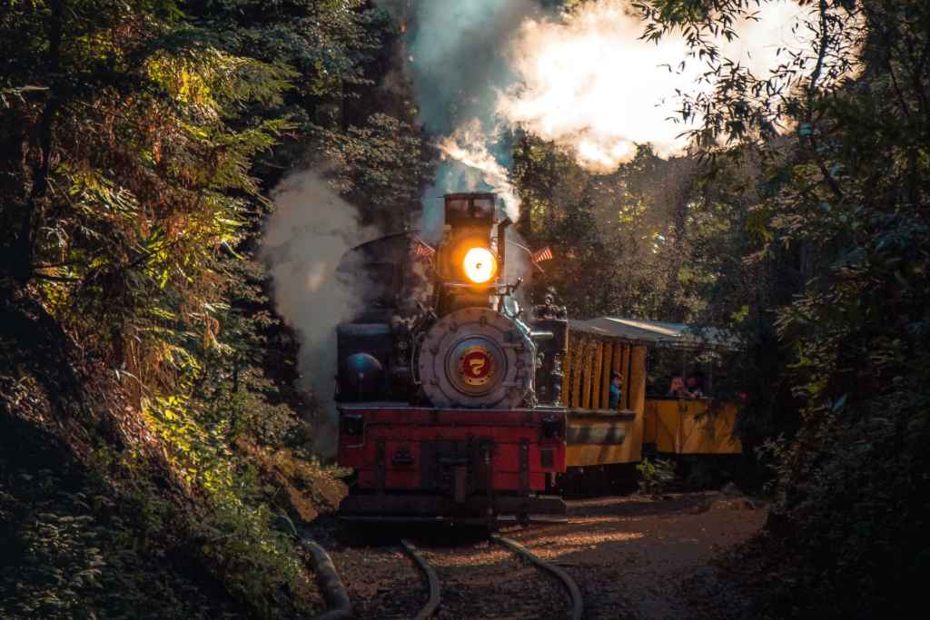 Train