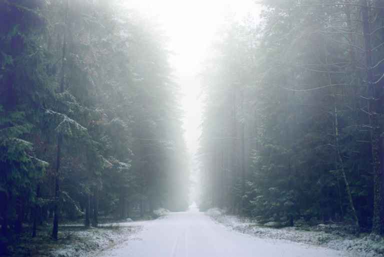 Winter Weather Snowy Roads
