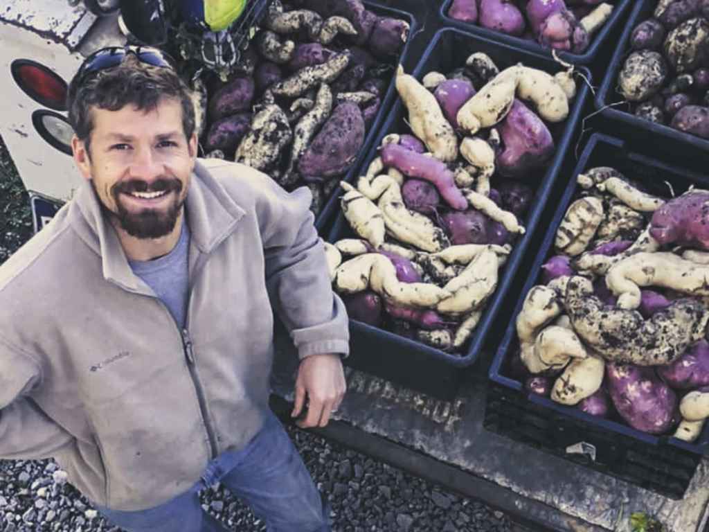 potatoes