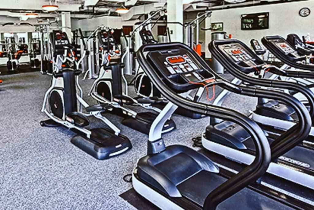 Davis and Elkins fitness