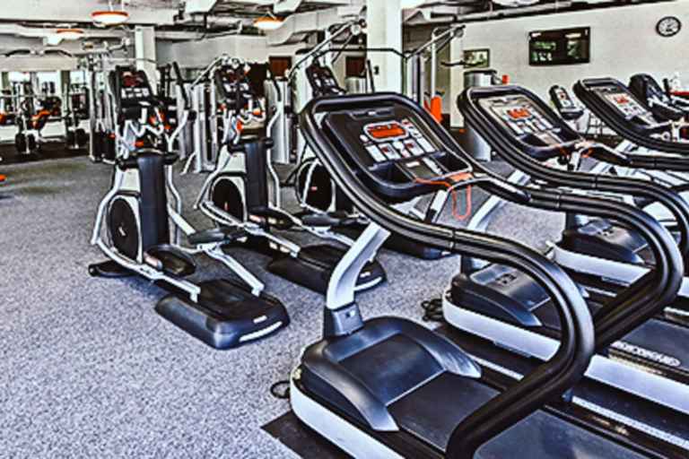 Davis and Elkins fitness