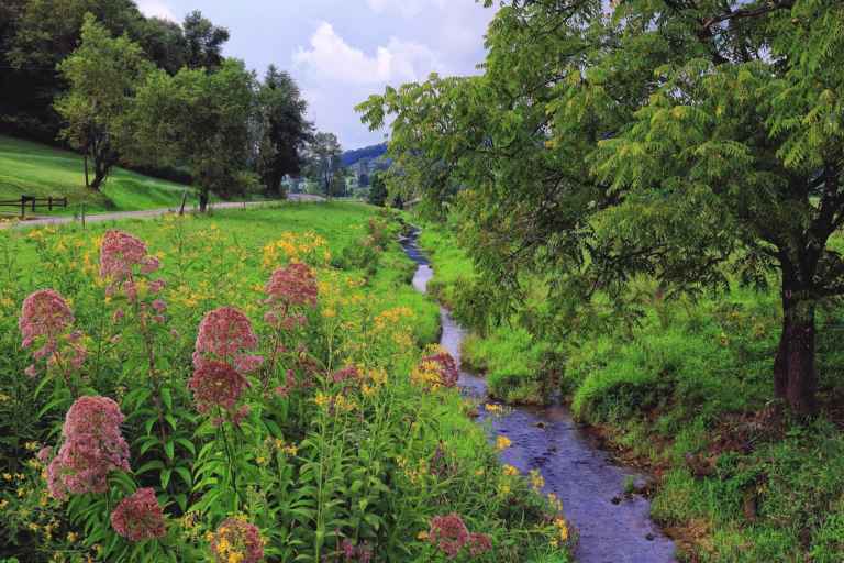 Teter Road in Upshur County by Al Tucker