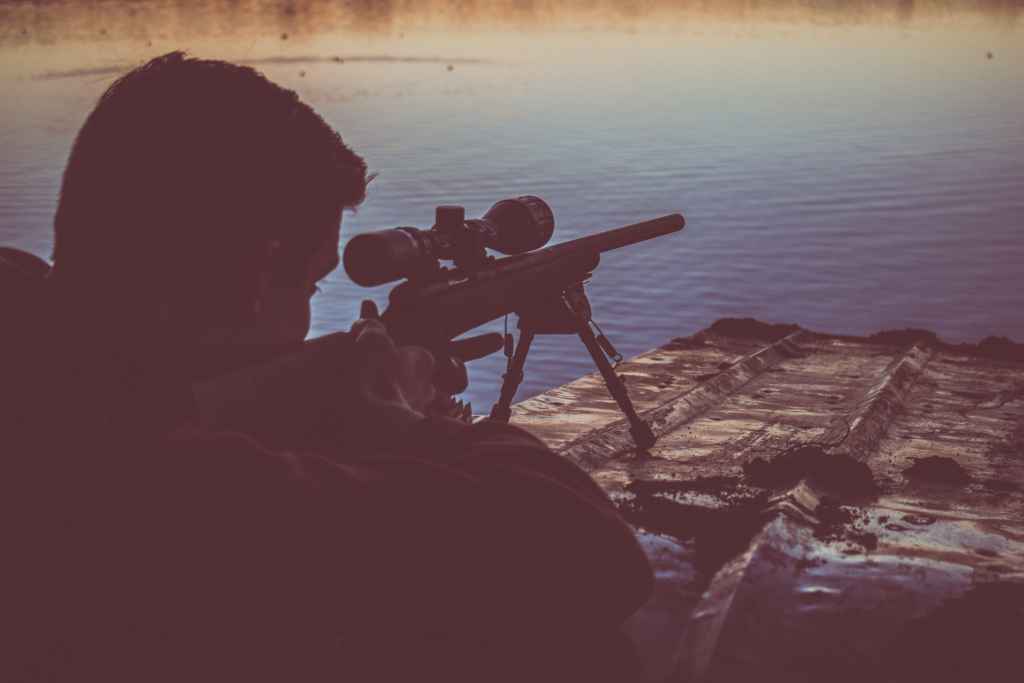 Gun Hunting Shooting
