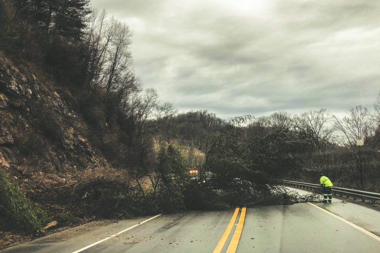 Tree down in Roanoke