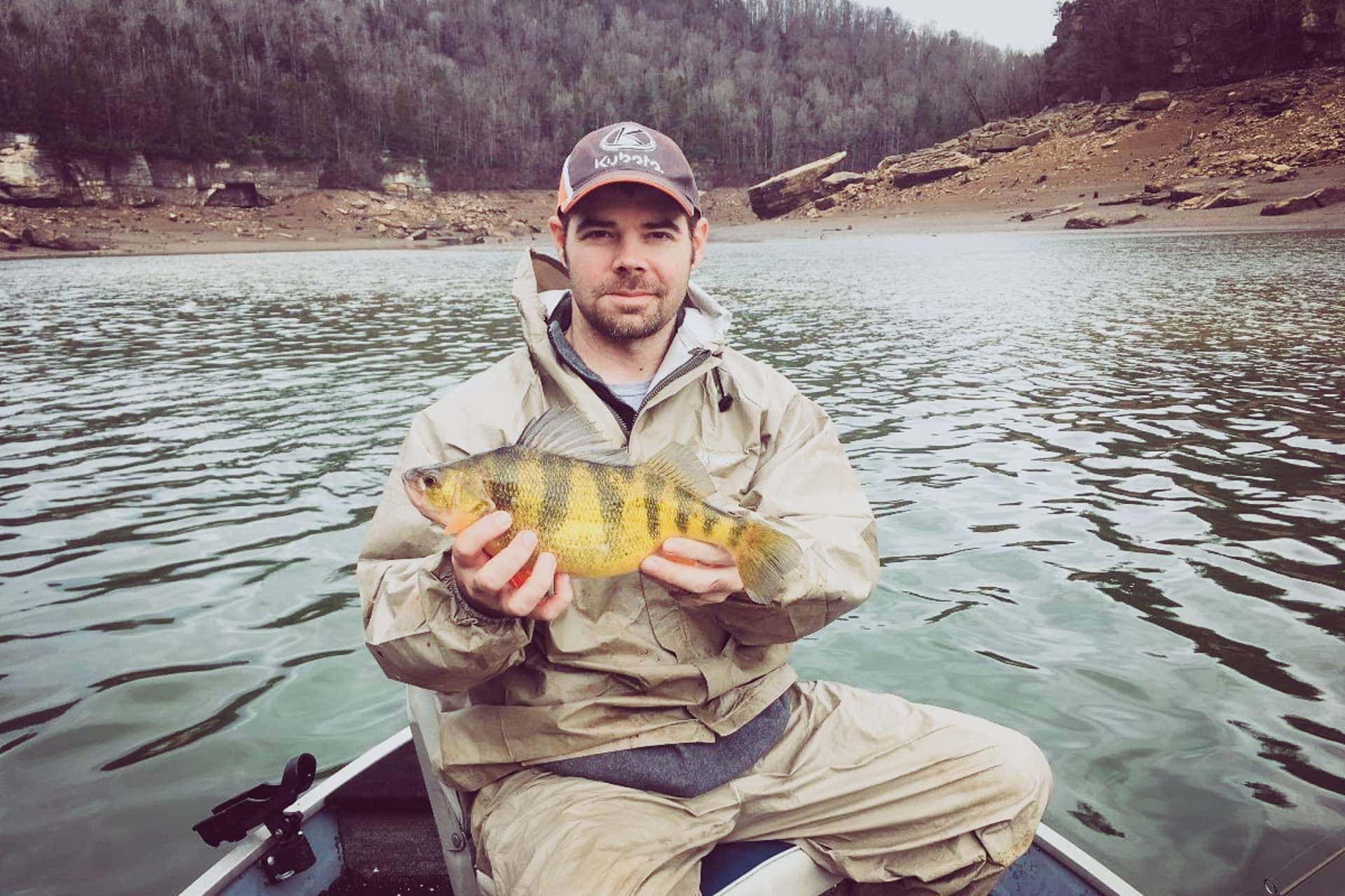 State Record Yellow Perch