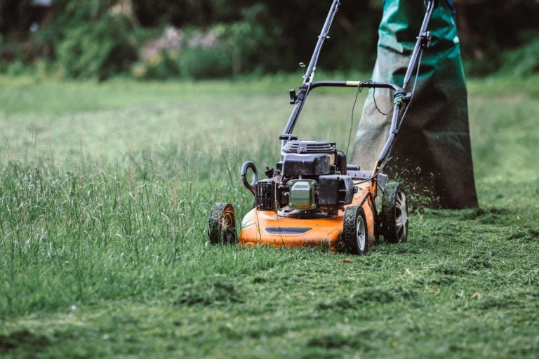 Mow Grass Lawn Mower