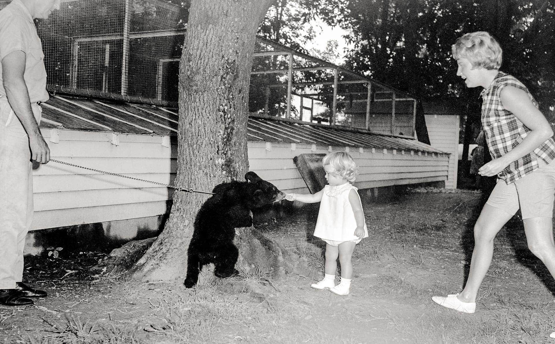 Smalltown Buckhannon, W.Va. retains its classic charm while thriving