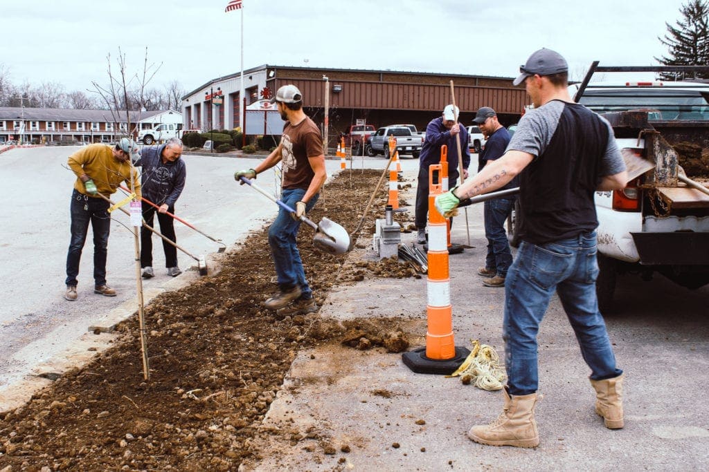 Create Buckhannon trees