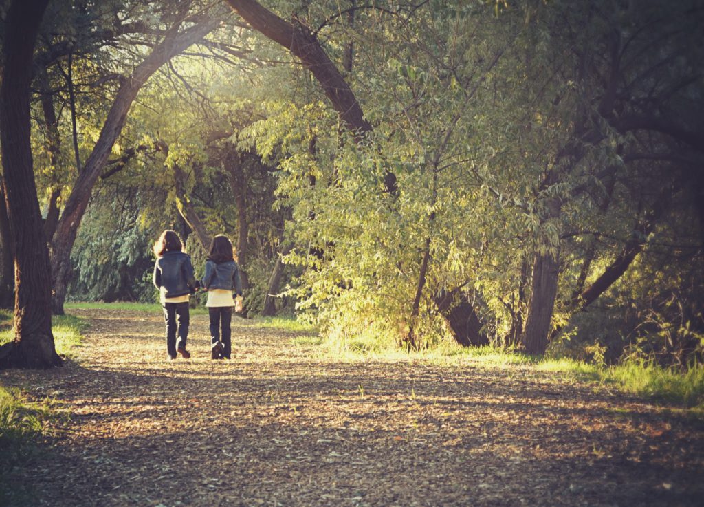 Trees Park