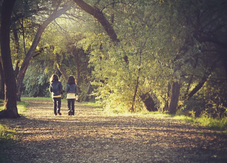 Trees Park