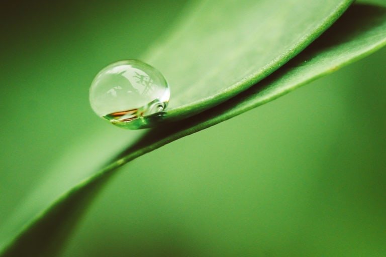 Water Drop