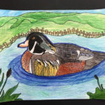 BUMS Duck Art