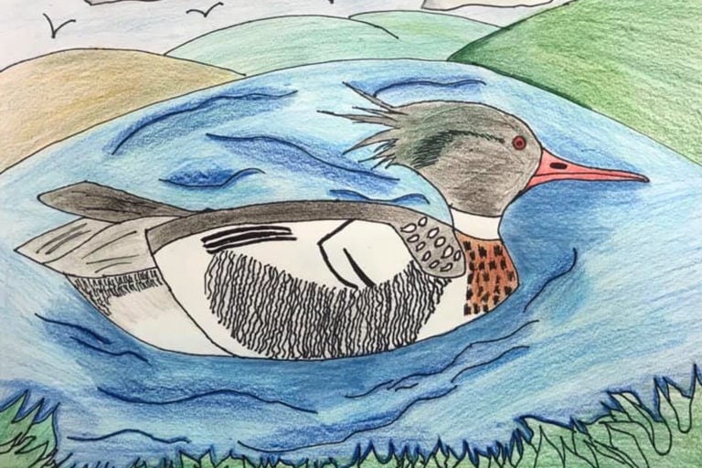 BUMS Duck Art