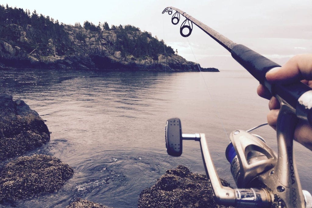 Free Fishing Days! Experience why fishing in West Virginia is so much fun