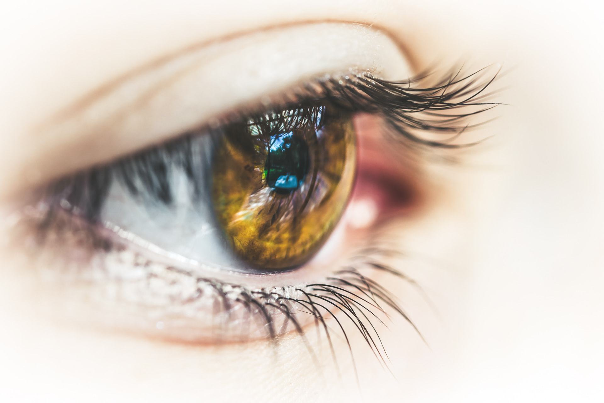 Eye Ophthalmology