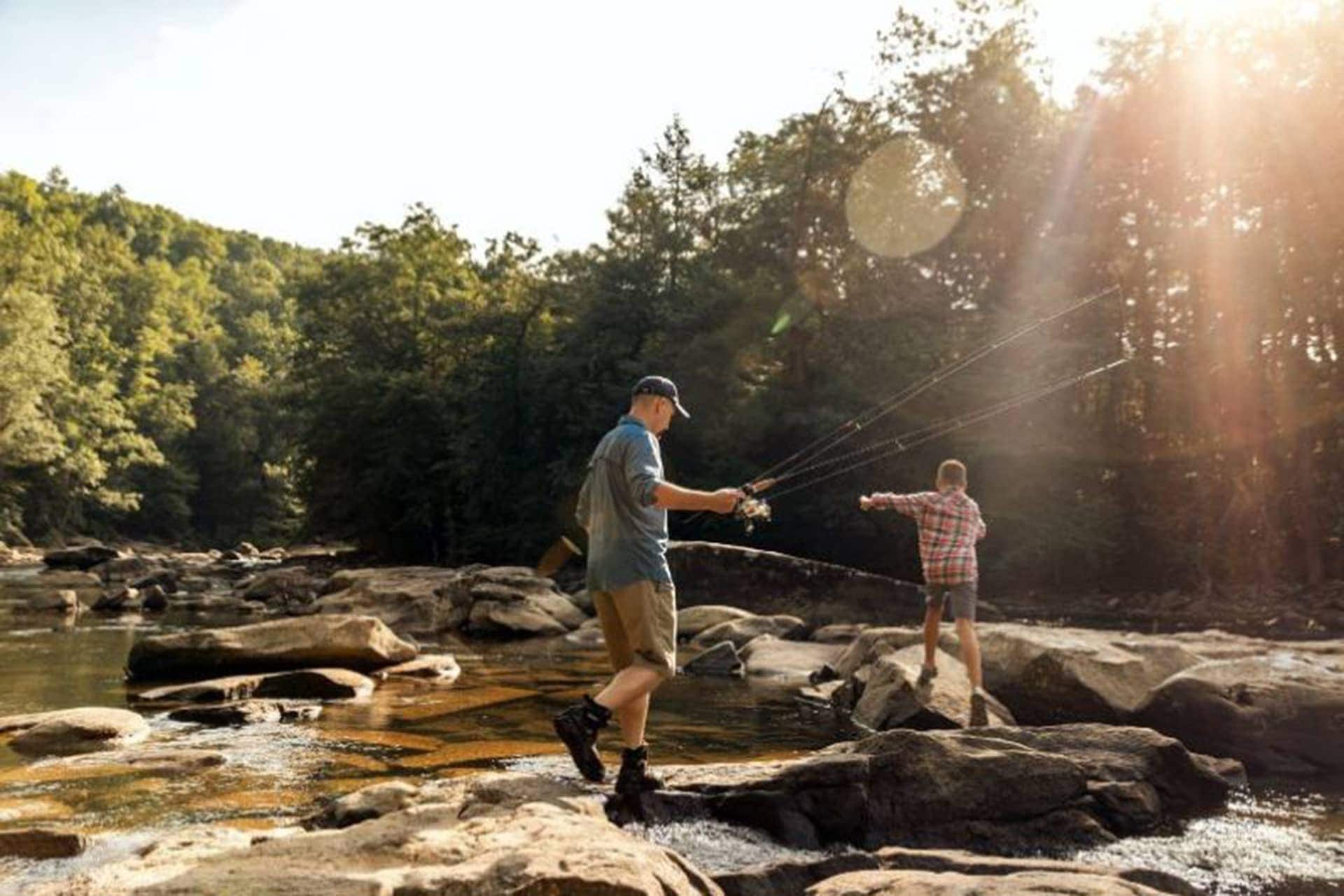 wv trout stocking wv trout stocking