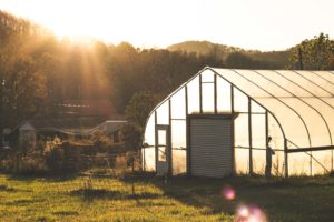 Stone Lakes Farm (Photo by Rachel Poling)