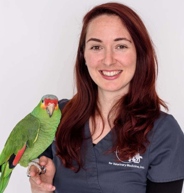 Wesleyan Alumna Veterinarian Provides Care for Avian and Exotic Animals