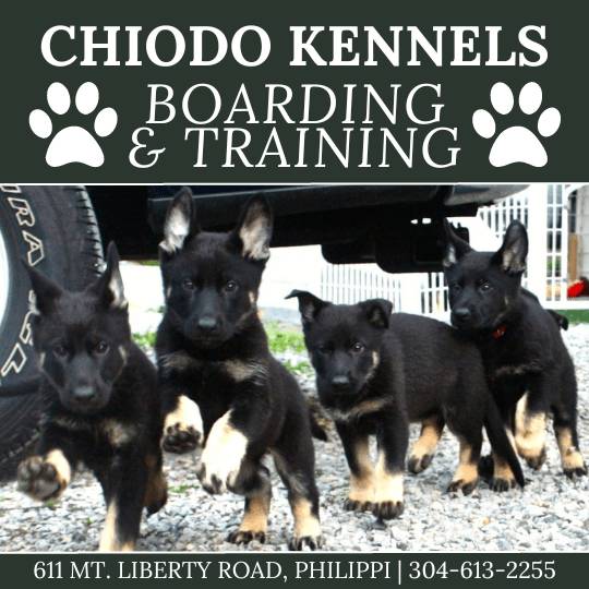 West online hall kennels