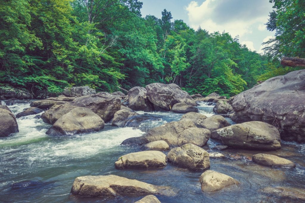 The Buckhannon River near Tenmile