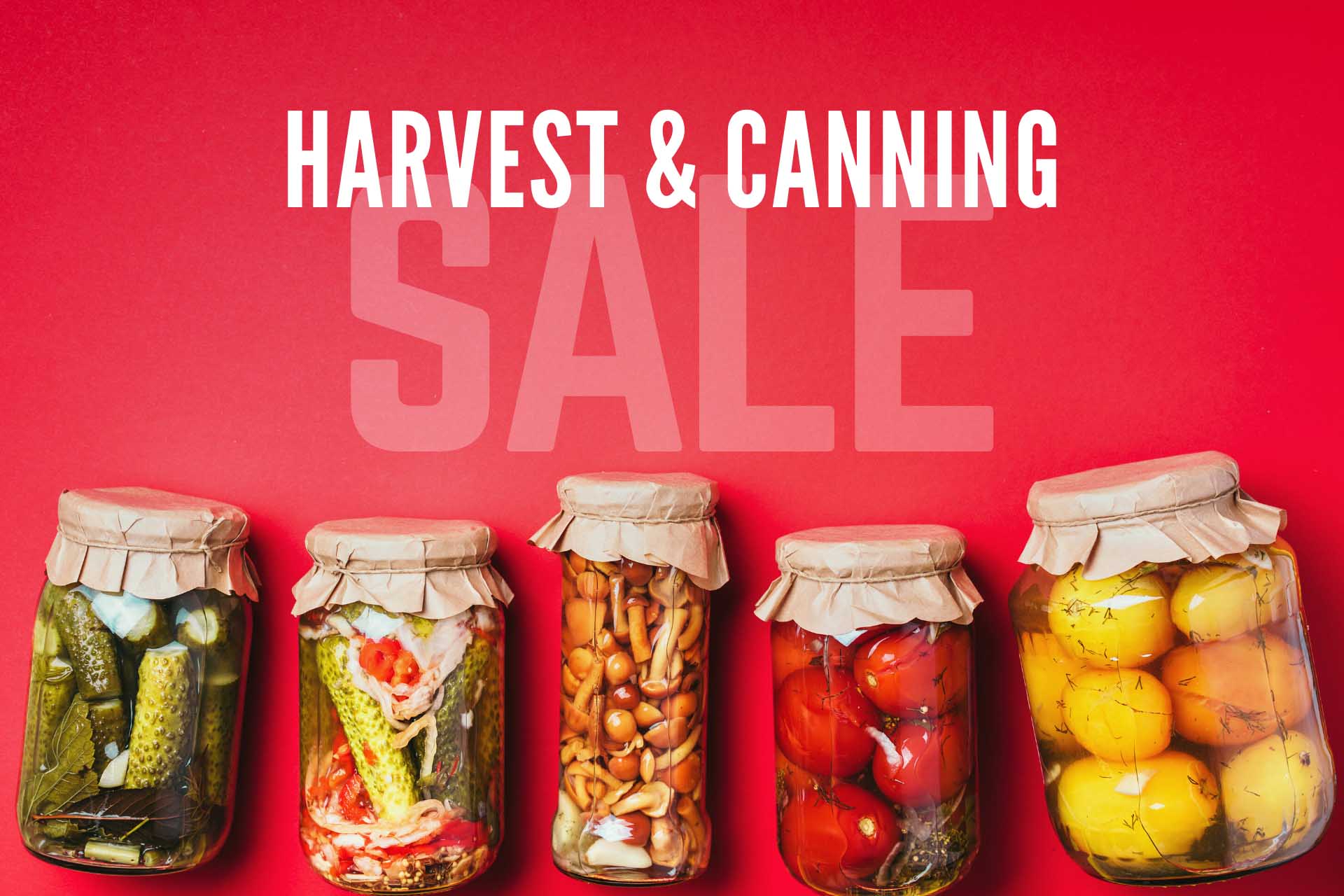 Southern States Harvest and Canning Sale - Feature
