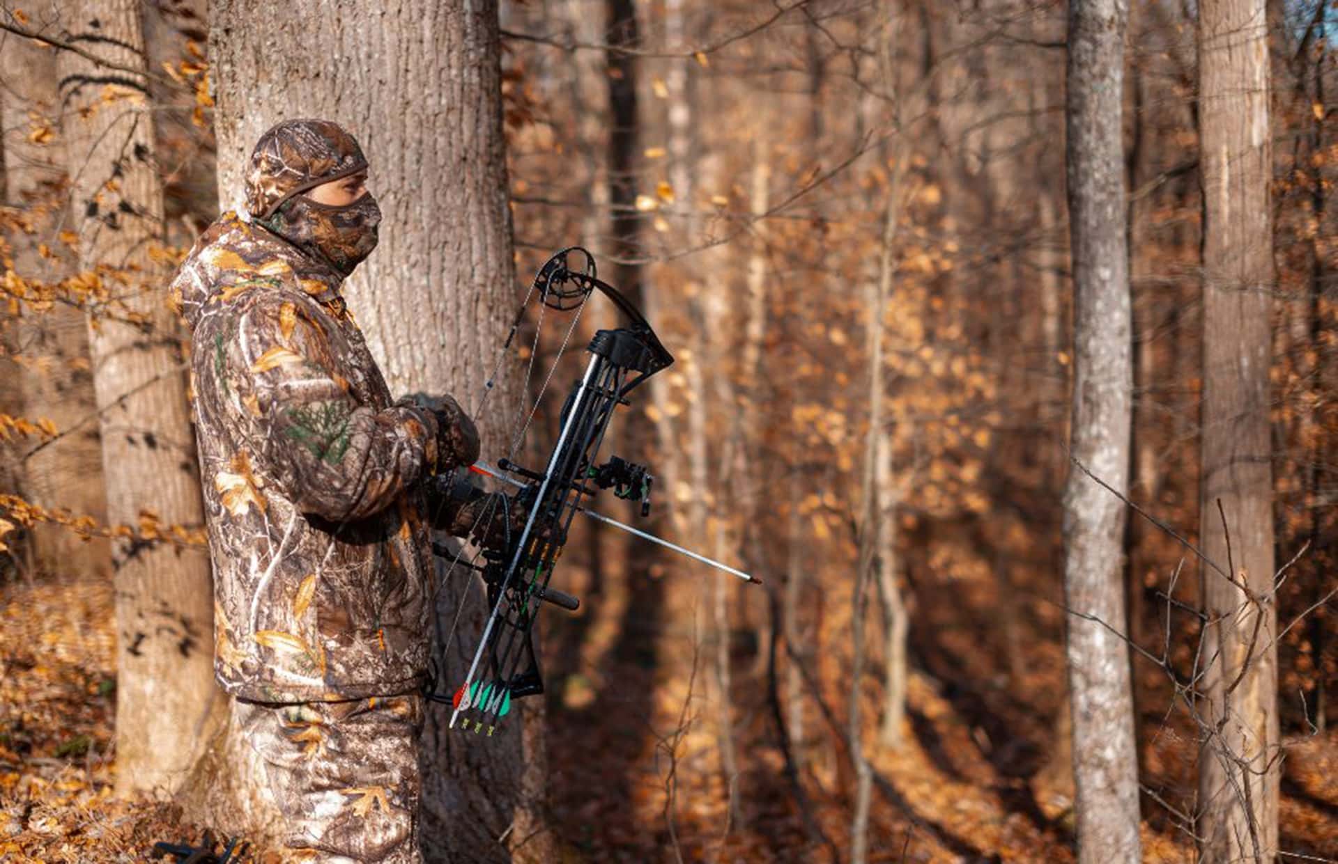 West Virginia's archery and crossbow seasons open Sept. 26