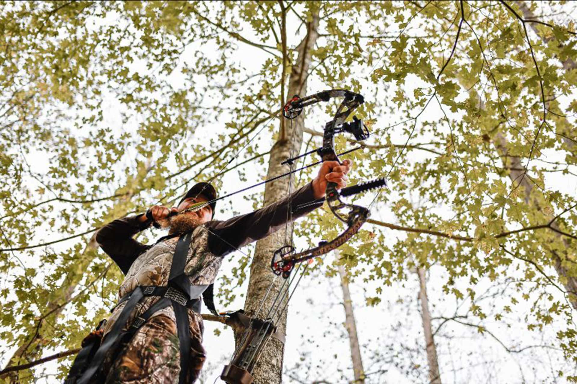 West Virginia's archery and crossbow seasons open Sept. 26