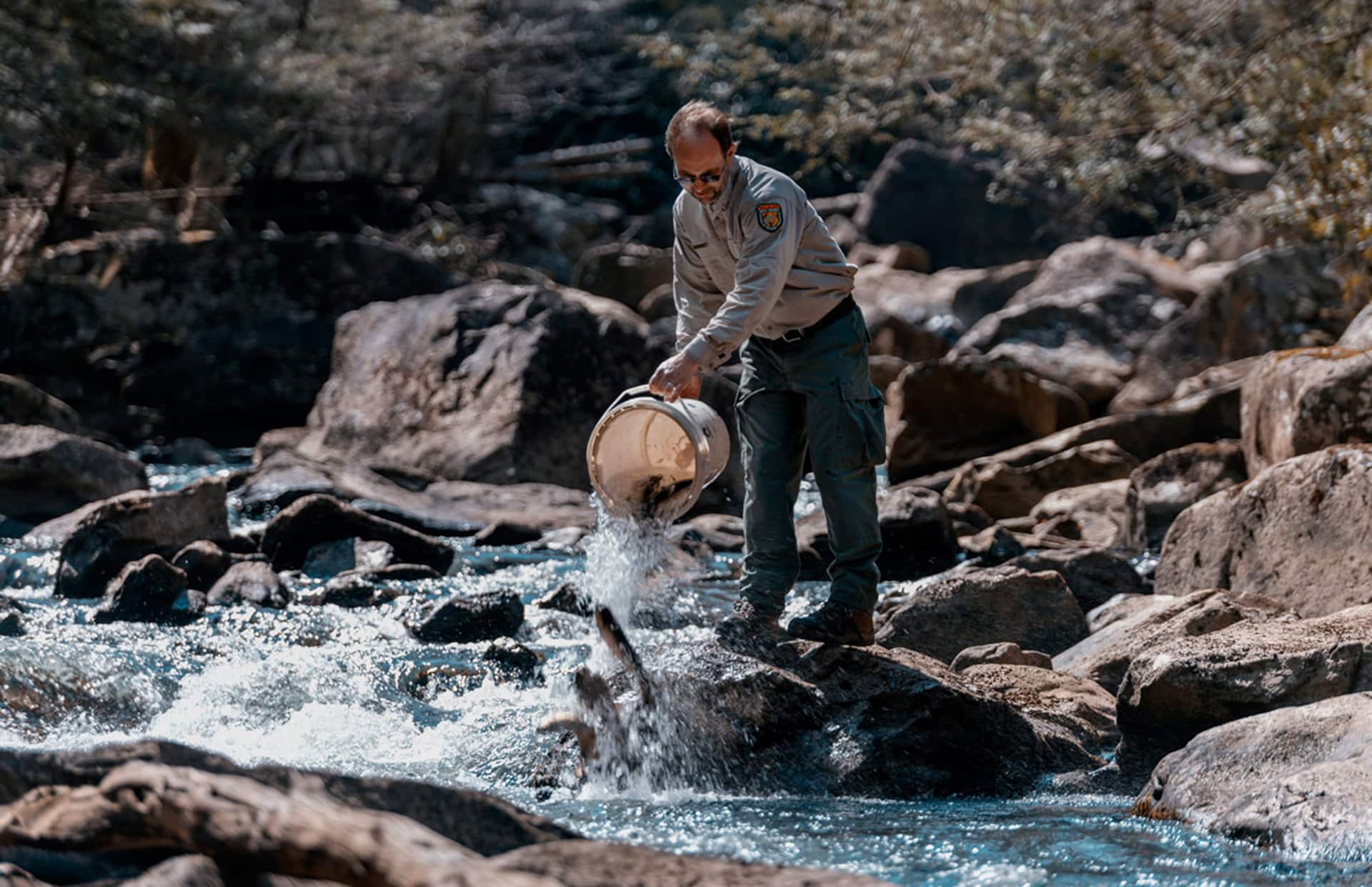 Gov. Justice announces additional improvements to fall trout stocking