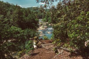 A hiking trail at Audra State Park looks down over the Middle Fork River.