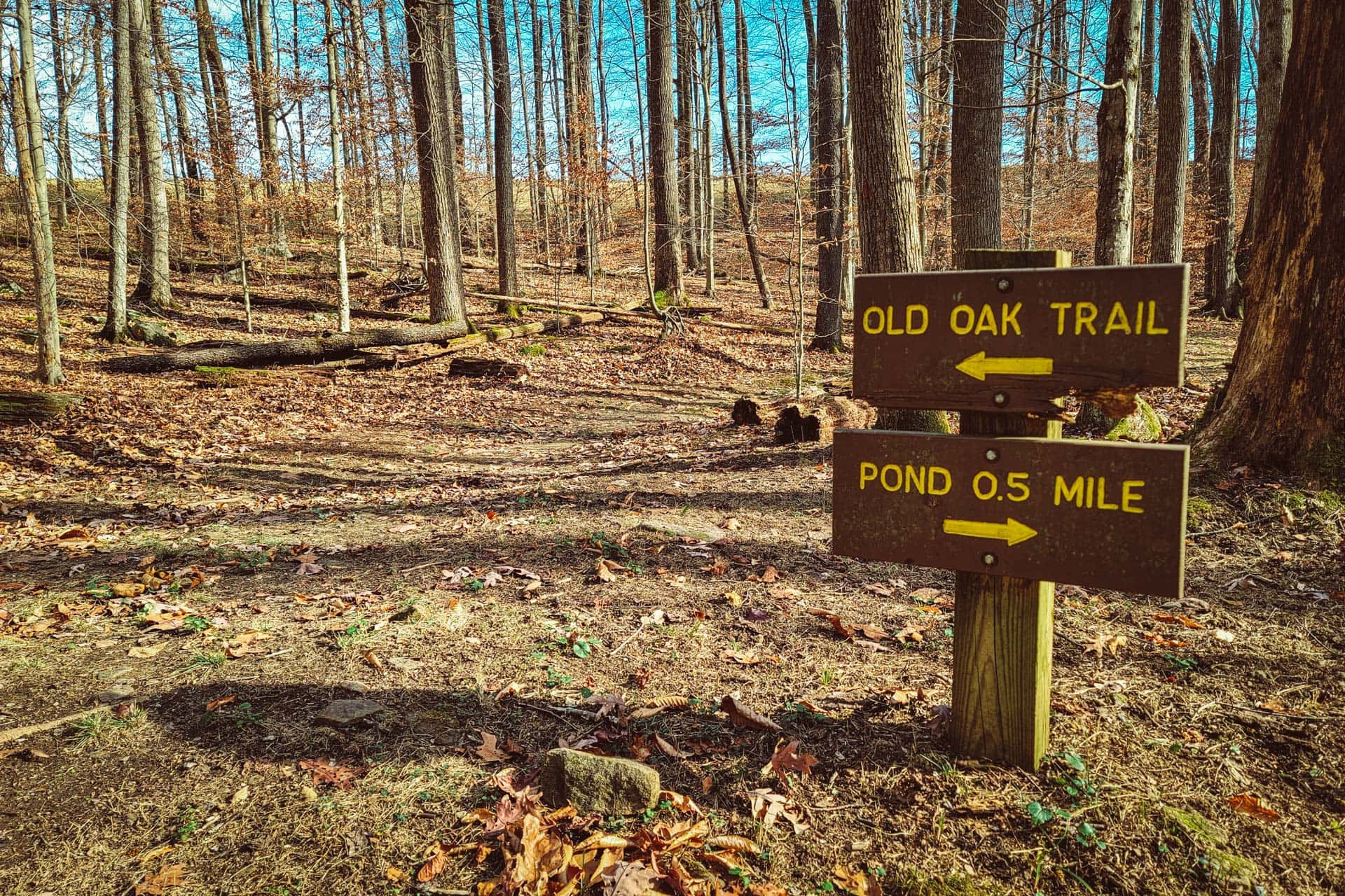 Three hiking trails you don't want to miss