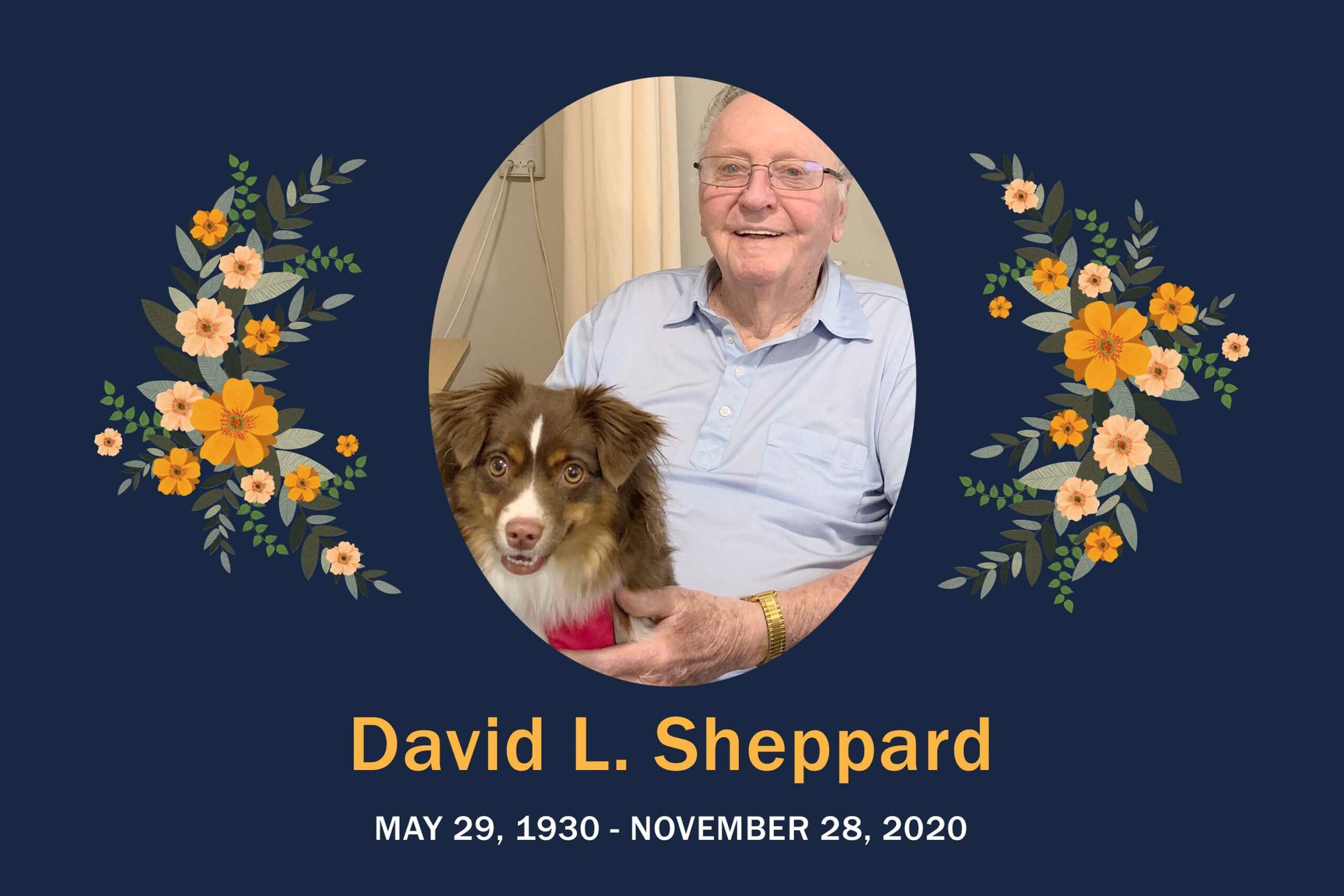 Obituary David Sheppard