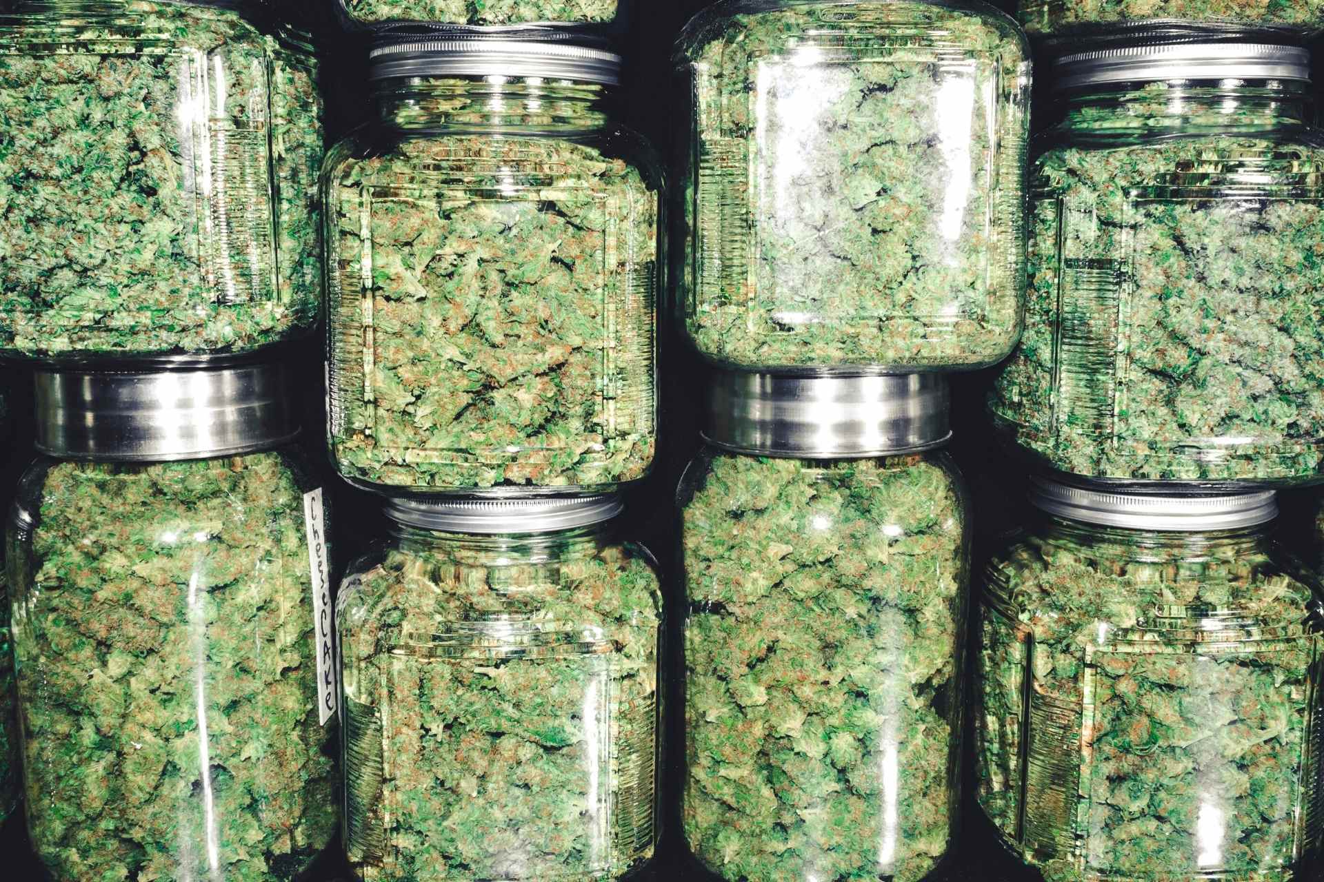 Medical Cannabis Marijuana