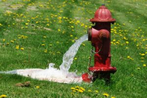 Fire Hydrant Flush