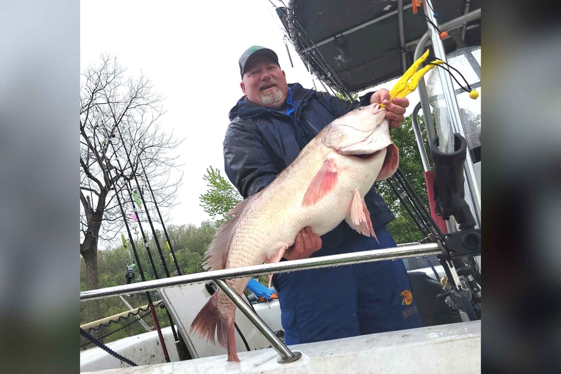 John Gibson holds his record freshwater drum catch.