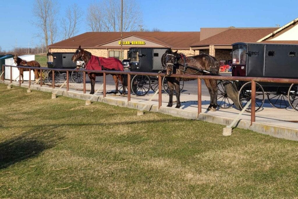 New research from WVU sociologists suggests that the Amish population saw “excess deaths” in 2020 in the midst of the COVID-19 pandemic. Researchers theorize their distrust in preventative medicine and history of religious persecution played a role in the death spike. (Courtesy Photo/ Ben Stein)