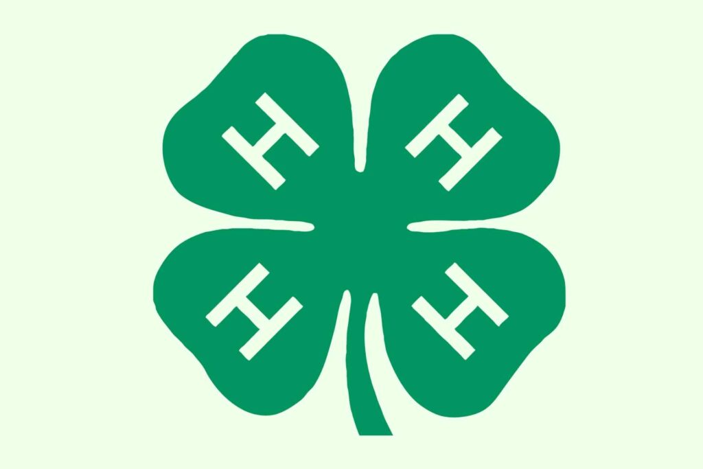 4-H