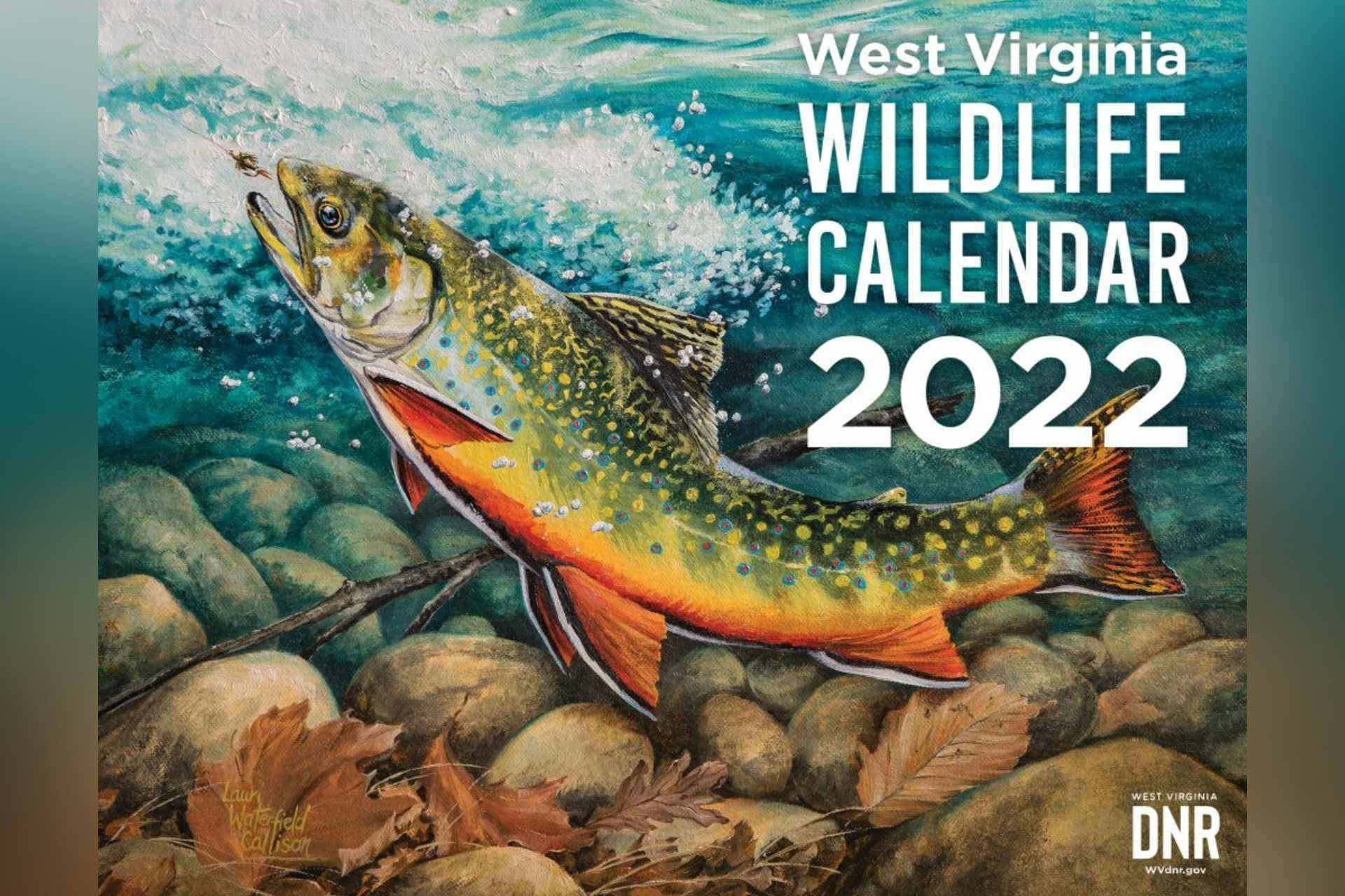 2022-west-virginia-wildlife-calendar-available-to-purchase
