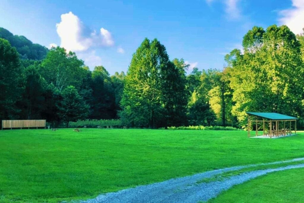 This lush green field at the Upshur County Youth Camp was once a tar pit. Now it has an archery backstop and open air pavilion for guests to enjoy. (Not to mention the local wildlife.)