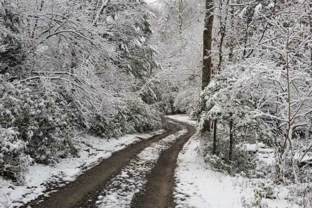 What a beautiful drive up to the cottage! A four-wheel-drive and/or all-wheel drive vehicle is necessary to make it to the cottage during the winter months.