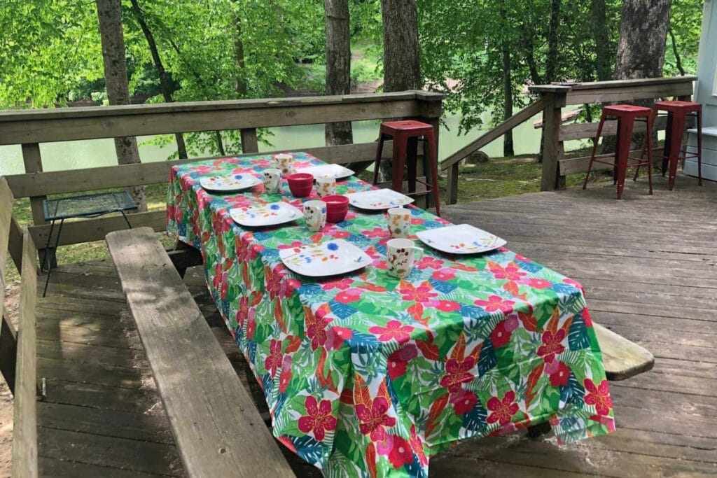 Picnic alongside the Buckhannon River