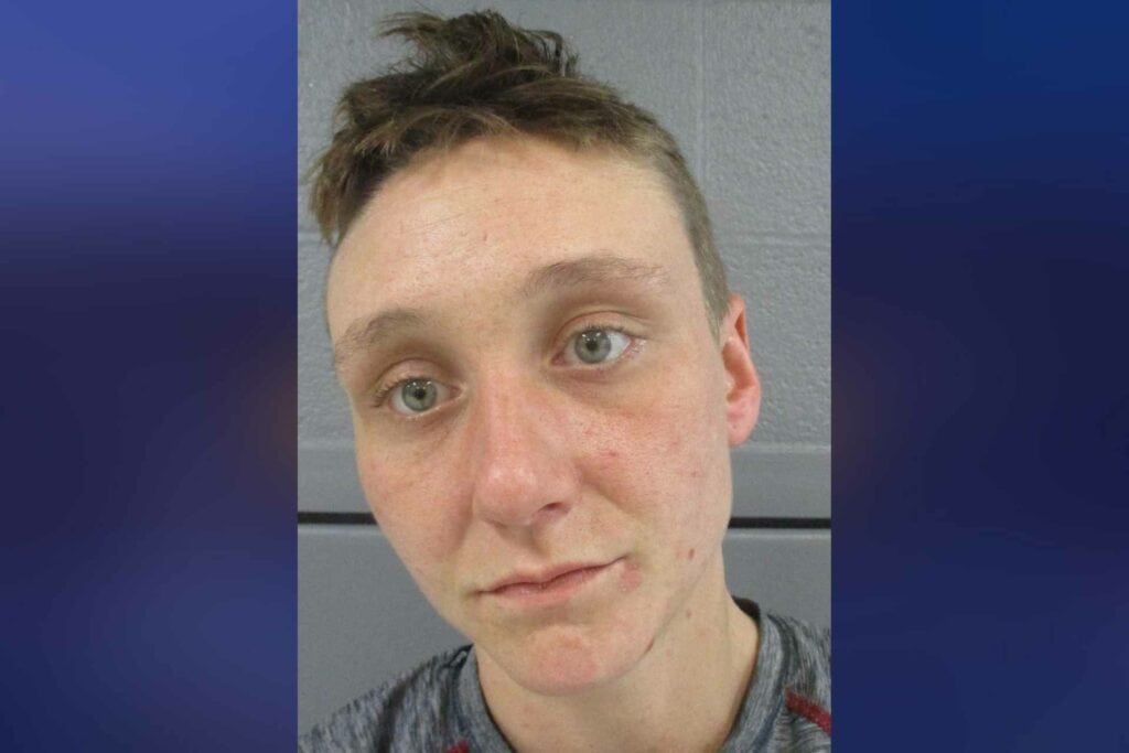 Woman arrested for allegedly stealing safe from Island Avenue home