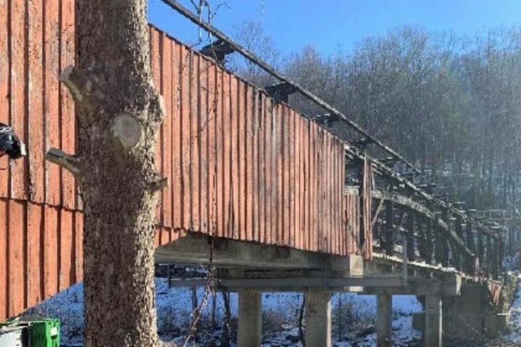 The Carrollton Bridge after it burned.
