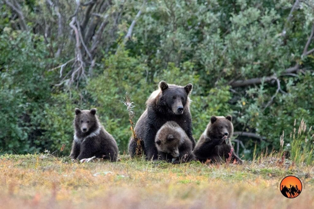 Photo by Mountaineer Photo Excursions