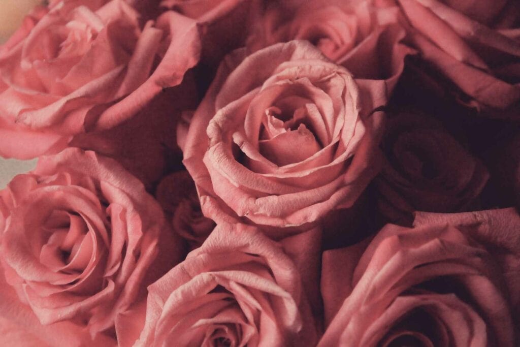 Valentine Flowers
