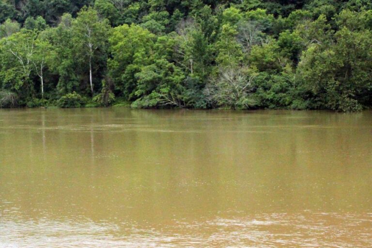 The muddy water in the Monongahela River in Morgantown. WVU engineer Omar Abdul-Aziz has developed model that can be utilized on any body of water to predict levels of dissolved oxygen, which contributes to water quality. (Photo Provided/Omar Abdul-Aziz)